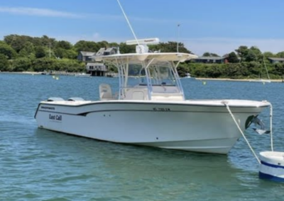 2007 Grady White Bimini 306 “Last Call”